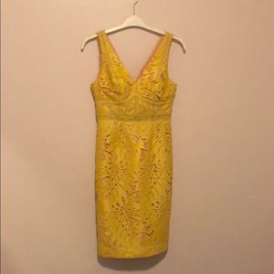 Anthropologie Maeve Gardenia Lace Dress Sz 4